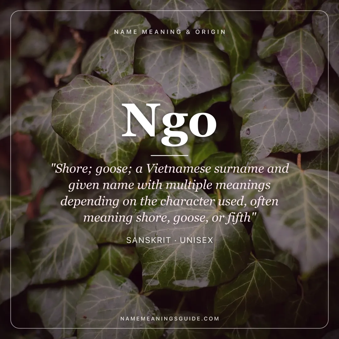 Ngo name meaning "Shore; goose; a Vietnamese surname and given name with multiple meanings depending on the character used, often meaning shore, goose, or fifth" - Sanskrit unisex name share card | NameMeanings