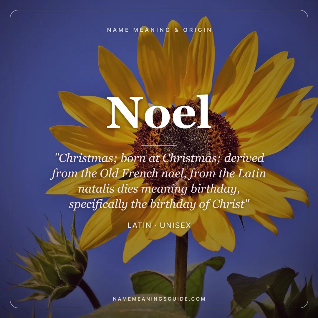 Noel name meaning "Christmas; born at Christmas; derived from the Old French nael, from the Latin natalis dies meaning birthday, specifically the birthday of Christ" - Latin unisex name share card | NameMeanings