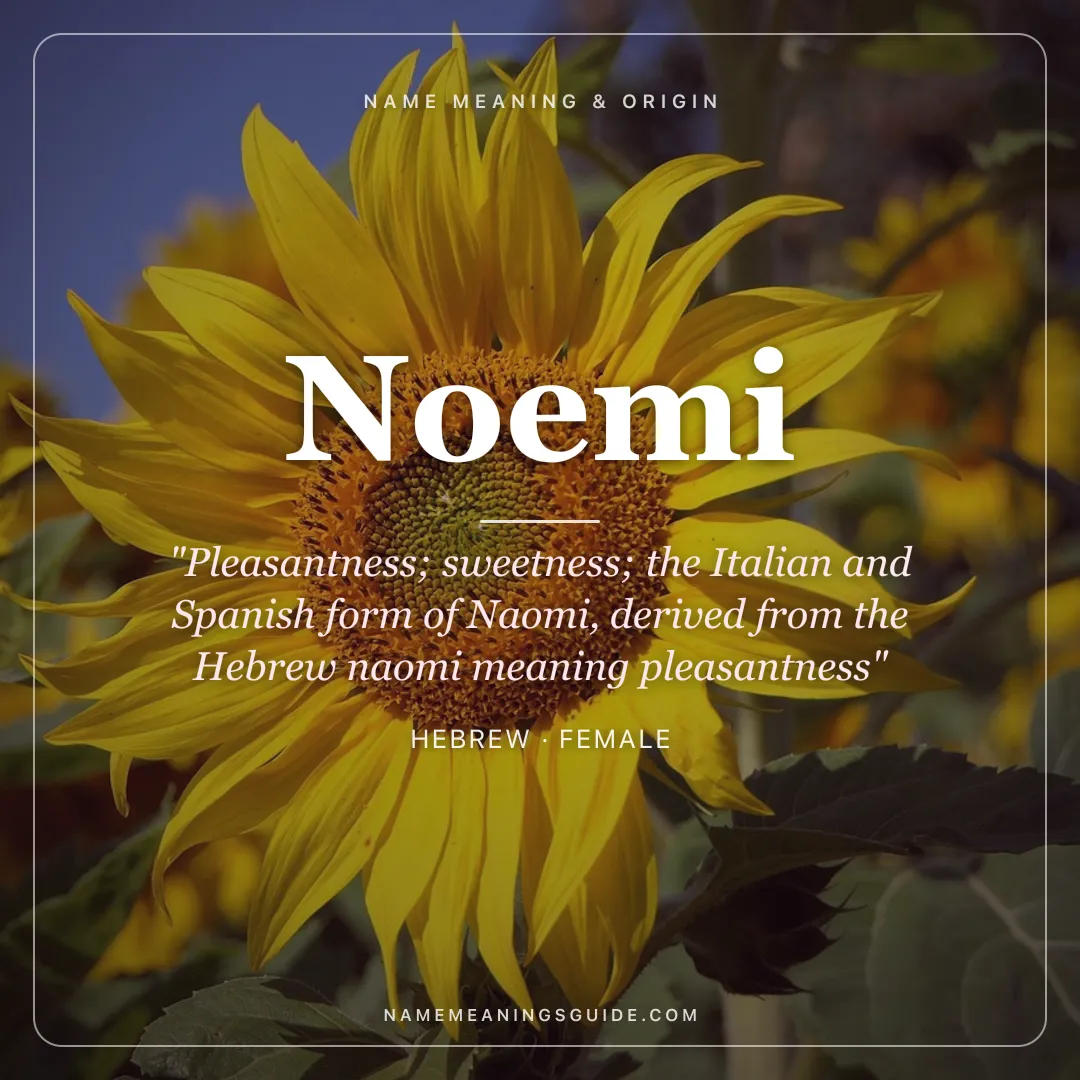 Noemi name meaning "Pleasantness; sweetness; the Italian and Spanish form of Naomi, derived from the Hebrew naomi meaning pleasantness" - Hebrew female name share card | NameMeanings