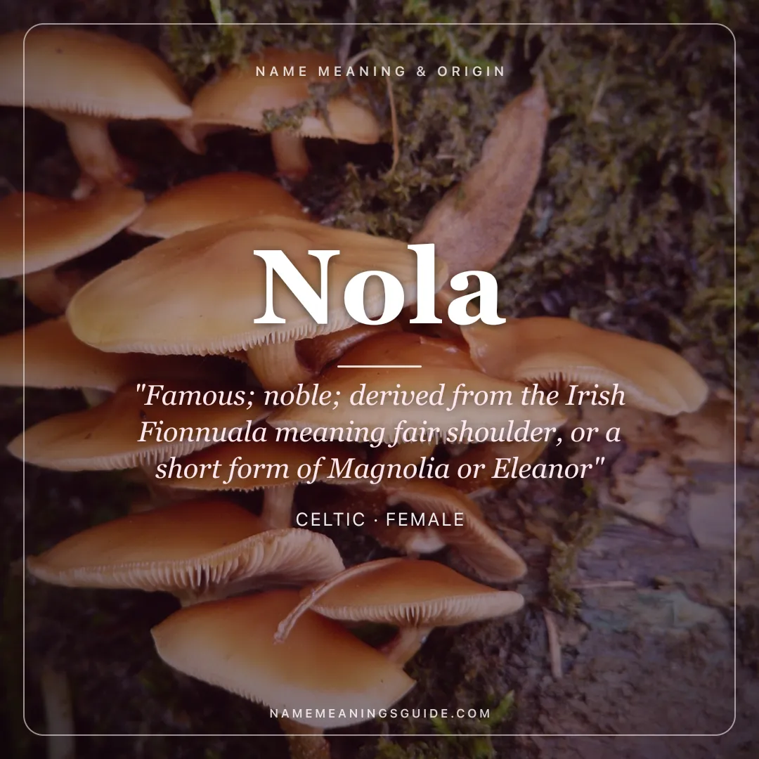 Nola name meaning "Famous; noble; derived from the Irish Fionnuala meaning fair shoulder, or a short form of Magnolia or Eleanor" - Celtic female name share card | NameMeanings