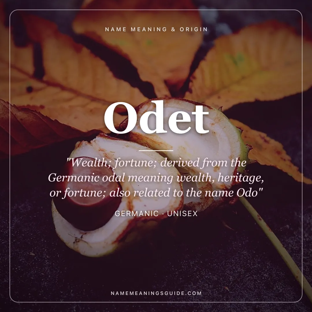 Odet name meaning "Wealth; fortune; derived from the Germanic odal meaning wealth, heritage, or fortune; also related to the name Odo" - Germanic unisex name share card | NameMeanings