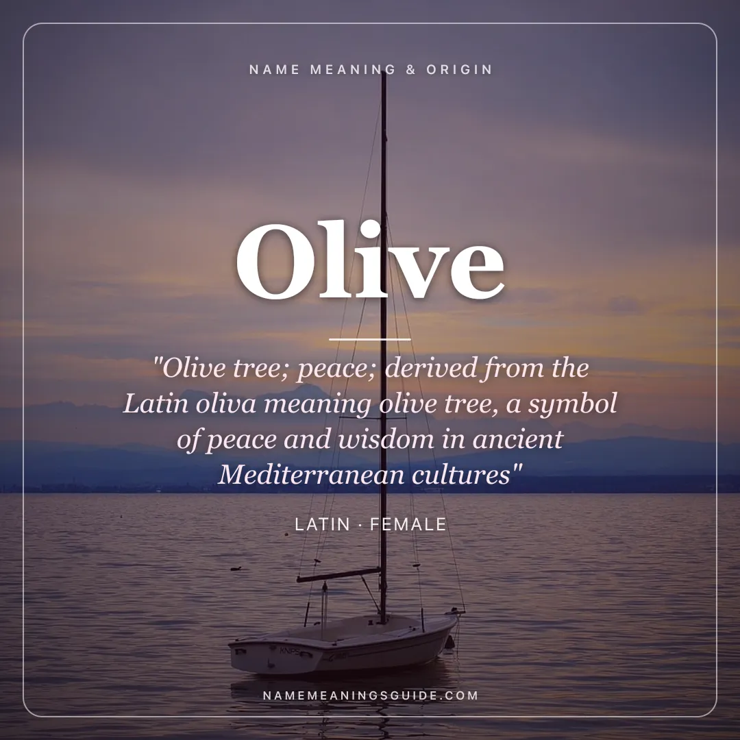 Olive name meaning "Olive tree; peace; derived from the Latin oliva meaning olive tree, a symbol of peace and wisdom in ancient Mediterranean cultures" - Latin female name share card | NameMeanings