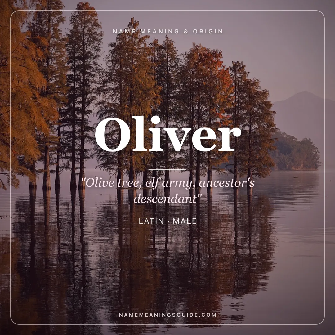 Oliver name meaning "Olive tree, elf army, ancestor's descendant" - Latin, Old Norse, French male name share card | NameMeanings
