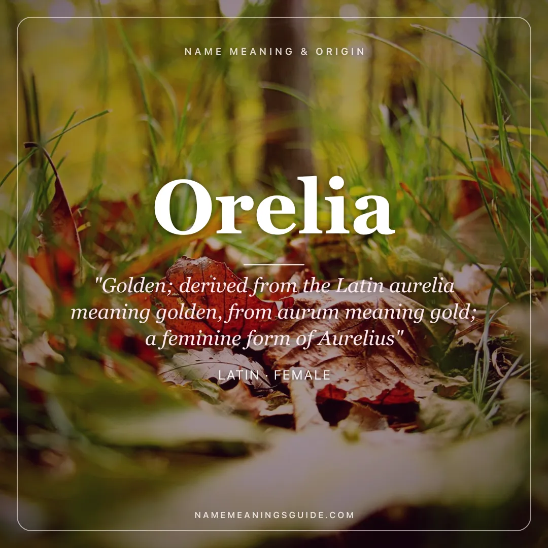 Orelia name meaning "Golden; derived from the Latin aurelia meaning golden, from aurum meaning gold; a feminine form of Aurelius" - Latin female name share card | NameMeanings