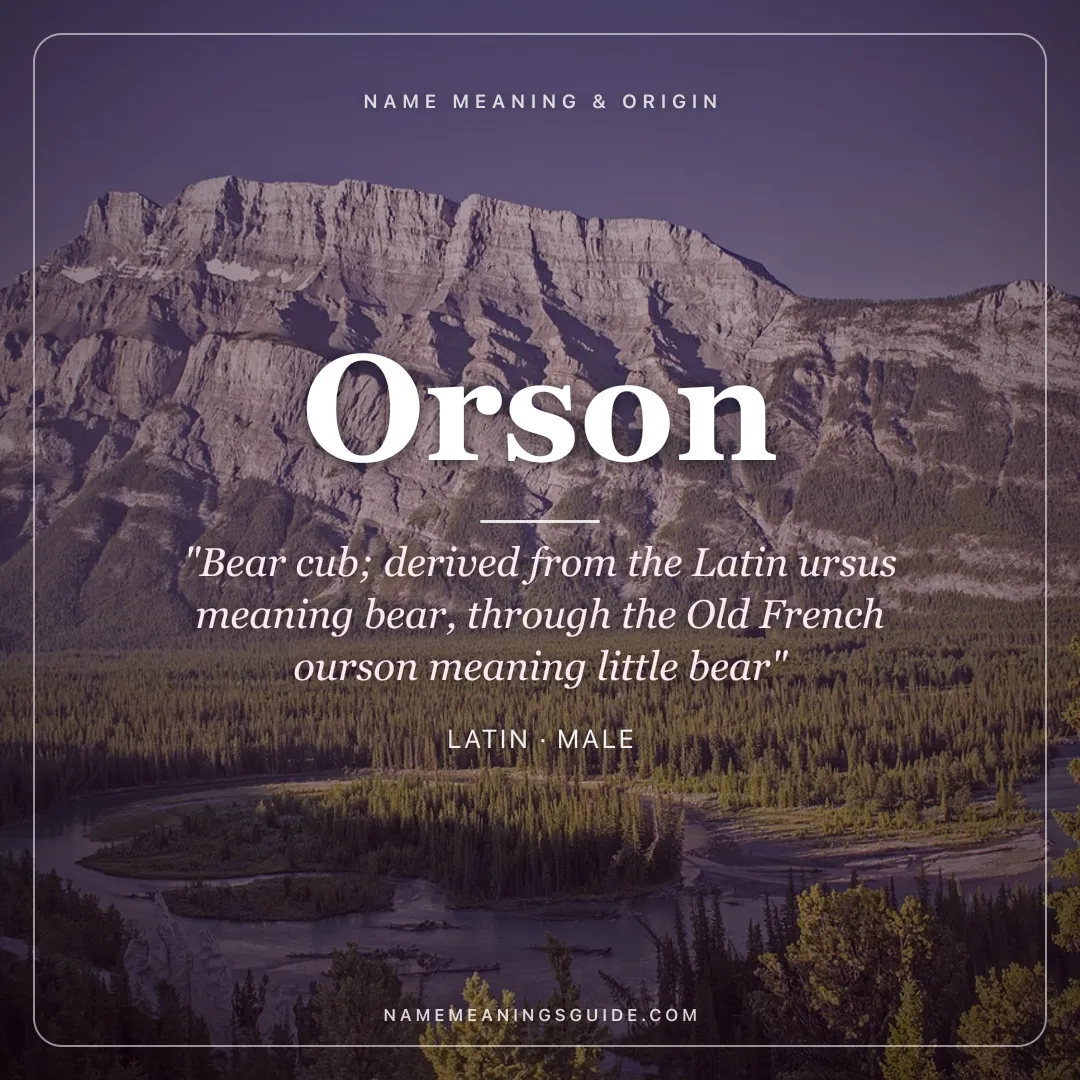 Orson name meaning "Bear cub; derived from the Latin ursus meaning bear, through the Old French ourson meaning little bear" - Latin male name share card | NameMeanings