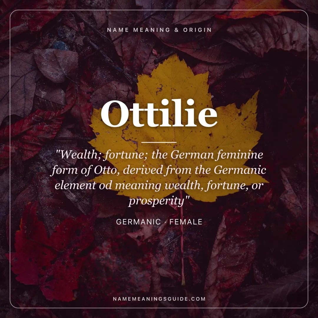 Ottilie name meaning "Wealth; fortune; the German feminine form of Otto, derived from the Germanic element od meaning wealth, fortune, or prosperity" - Germanic female name share card | NameMeanings