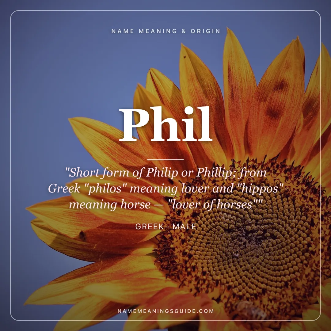 Phil name meaning "Short form of Philip or Phillip; from Greek "philos" meaning lover and "hippos" meaning horse — "lover of horses"" - Greek male name share card | NameMeanings