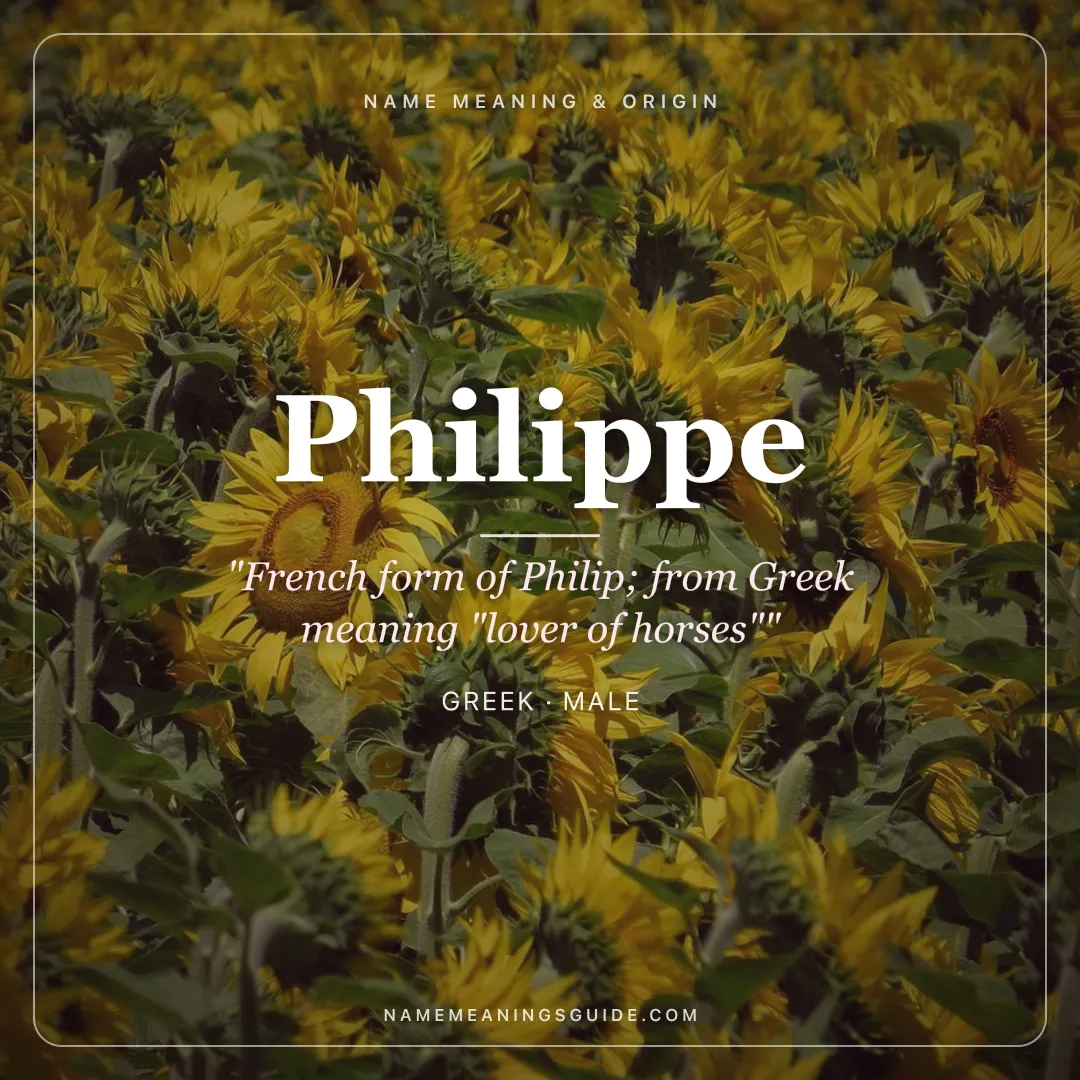 Philippe name meaning "French form of Philip; from Greek meaning "lover of horses"" - Greek male name share card | NameMeanings