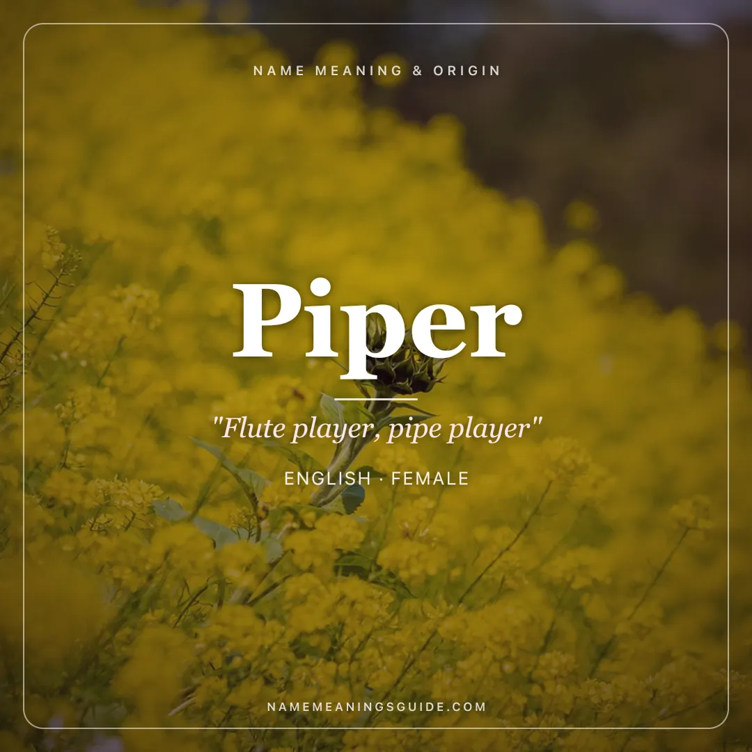 Piper name meaning "Flute player, pipe player" - English female name share card | NameMeanings