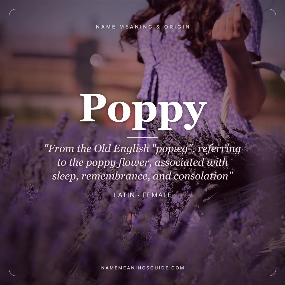 Poppy name meaning "From the Old English "popæg", referring to the poppy flower, associated with sleep, remembrance, and consolation" - Latin female name share card | NameMeanings