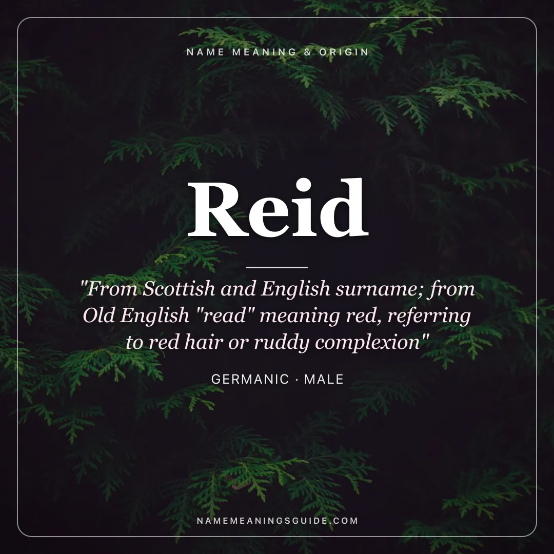 Reid name meaning "From Scottish and English surname; from Old English "read" meaning red, referring to red hair or ruddy complexion" - Germanic male name share card | NameMeanings