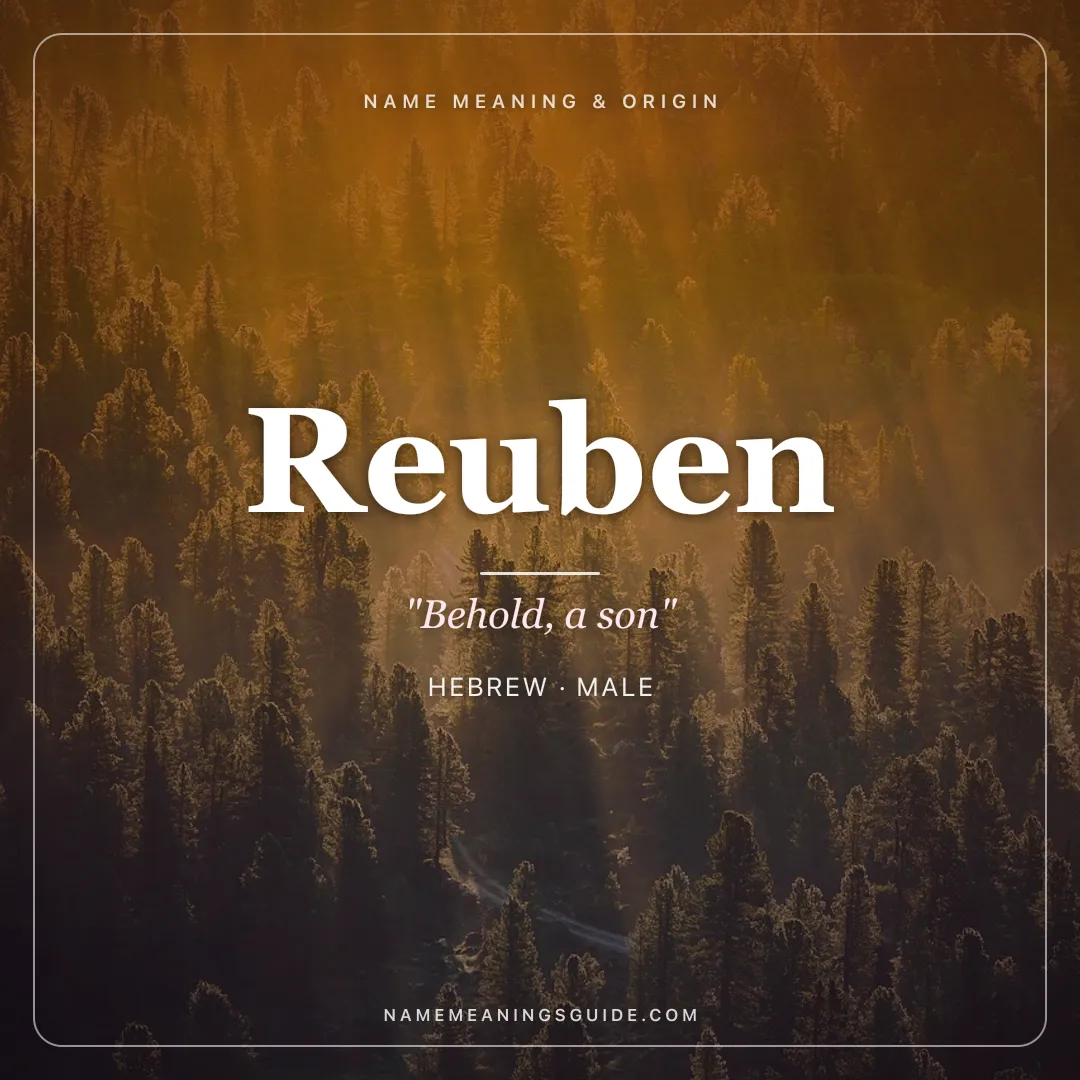 Reuben name meaning "Behold, a son" - Hebrew male name share card | NameMeanings