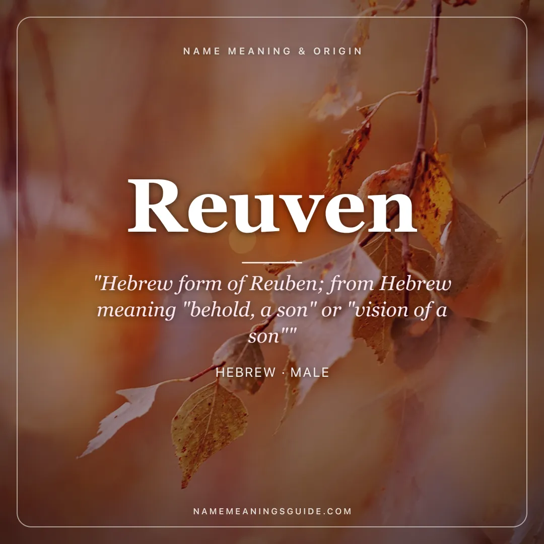 Reuven name meaning "Hebrew form of Reuben; from Hebrew meaning "behold, a son" or "vision of a son"" - Hebrew male name share card | NameMeanings