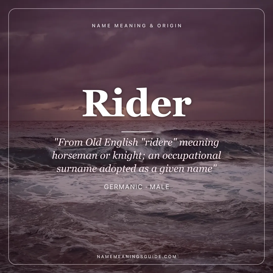 Rider name meaning "From Old English "ridere" meaning horseman or knight; an occupational surname adopted as a given name" - Germanic male name share card | NameMeanings