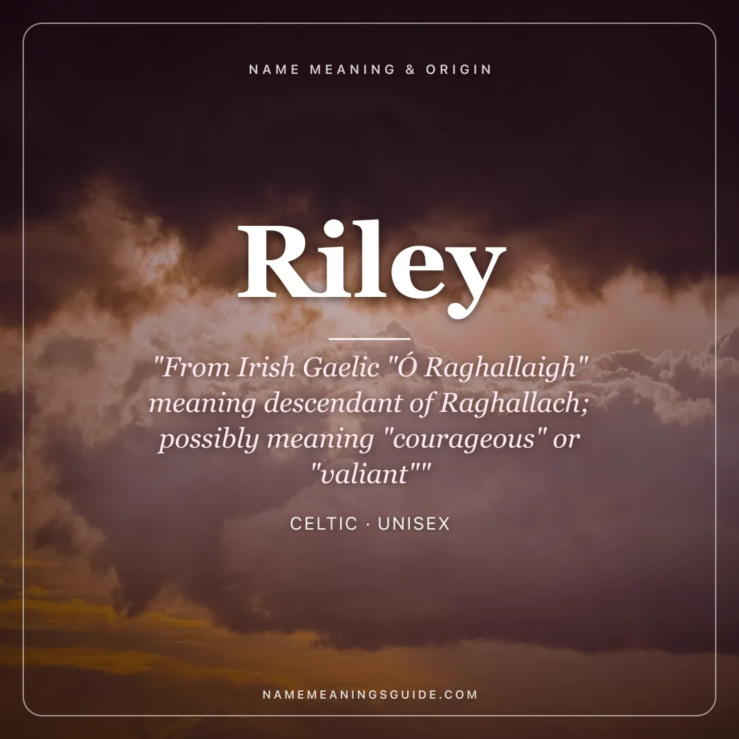 Riley name meaning "From Irish Gaelic "Ó Raghallaigh" meaning descendant of Raghallach; possibly meaning "courageous" or "valiant"" - Celtic unisex name share card | NameMeanings