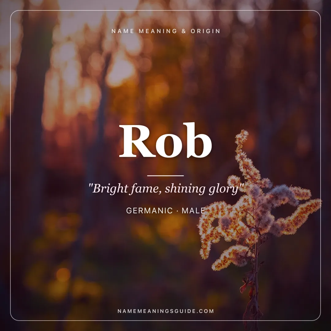 Rob name meaning "Bright fame, shining glory" - Germanic male name share card | NameMeanings