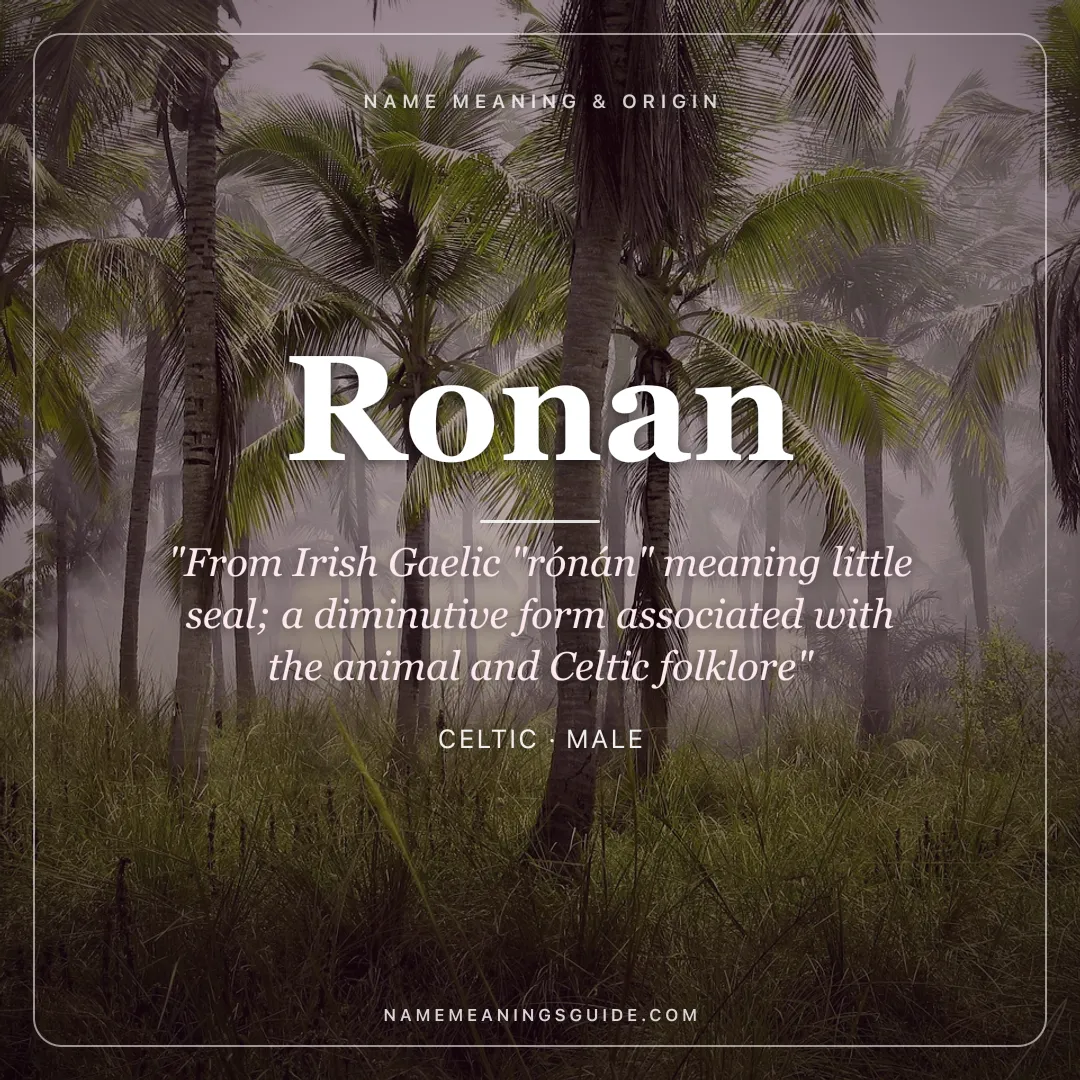 Ronan name meaning "From Irish Gaelic "rónán" meaning little seal; a diminutive form associated with the animal and Celtic folklore" - Celtic male name share card | NameMeanings