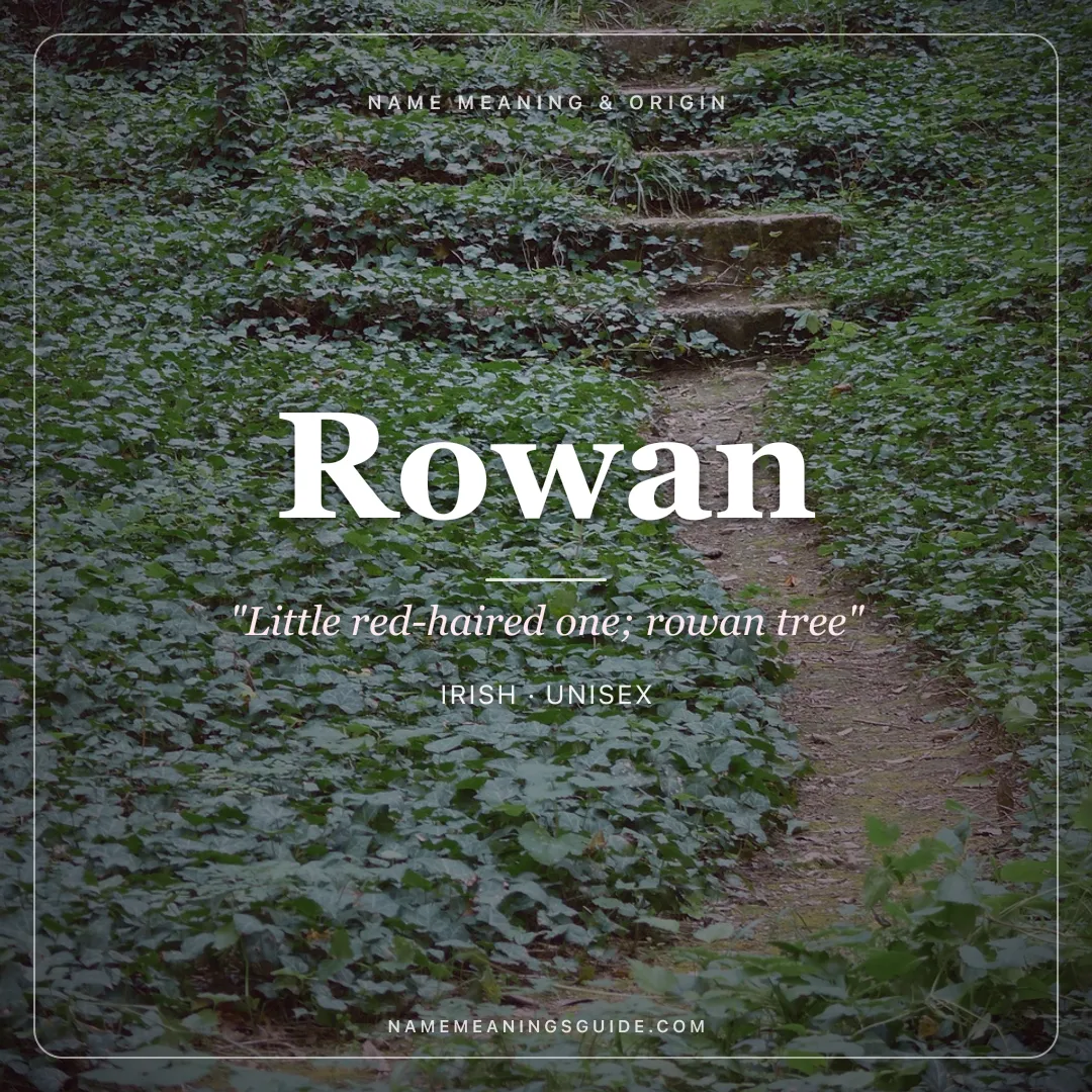 Rowan name meaning "Little red-haired one; rowan tree" - Irish, Scottish unisex name share card | NameMeanings