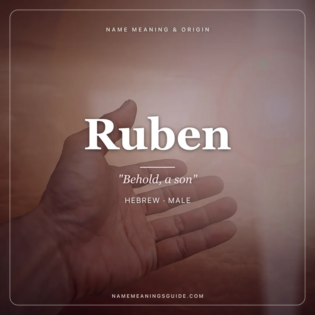Ruben name meaning "Behold, a son" - Hebrew, Spanish male name share card | NameMeanings
