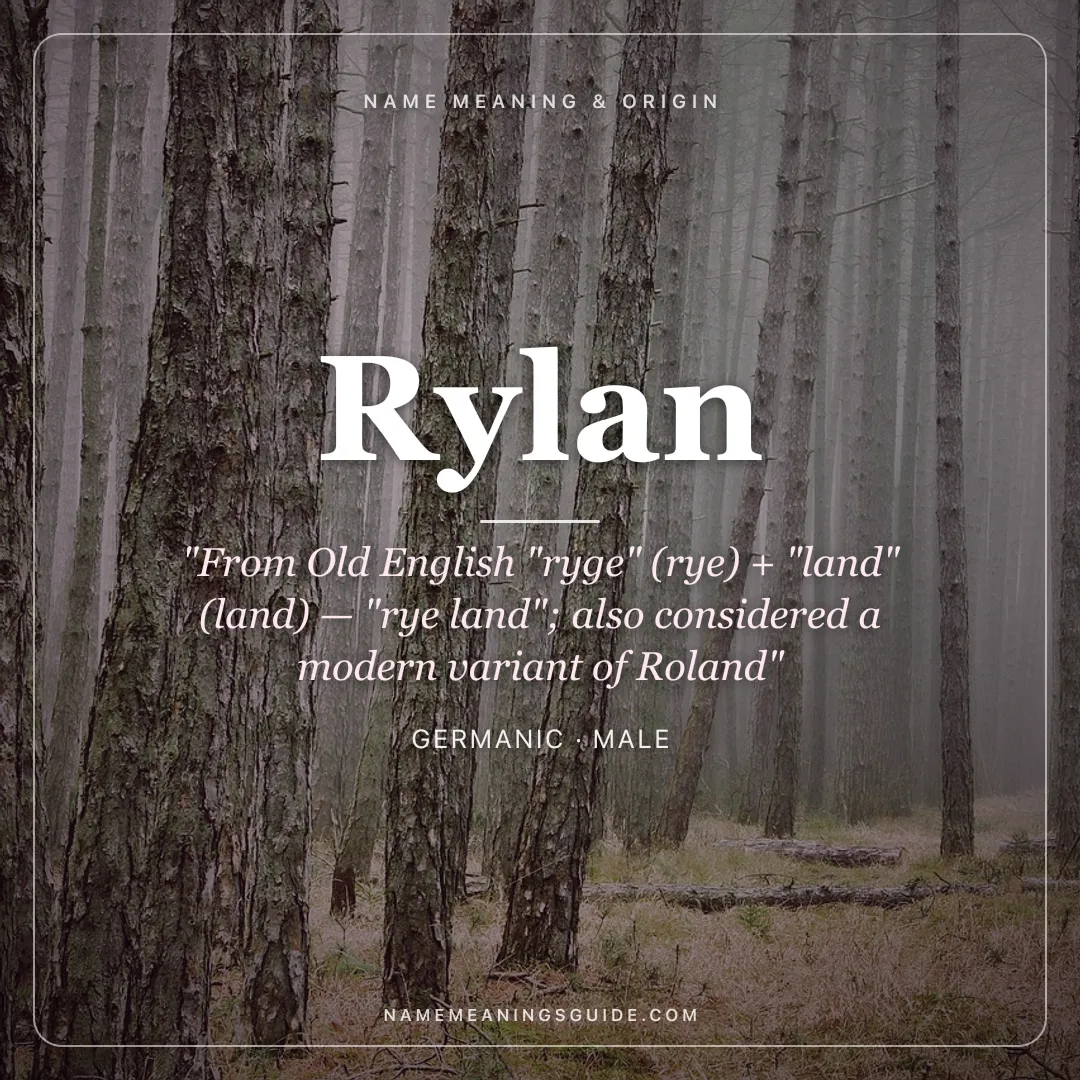 Rylan name meaning "From Old English "ryge" (rye) + "land" (land) — "rye land"; also considered a modern variant of Roland" - Germanic male name share card | NameMeanings