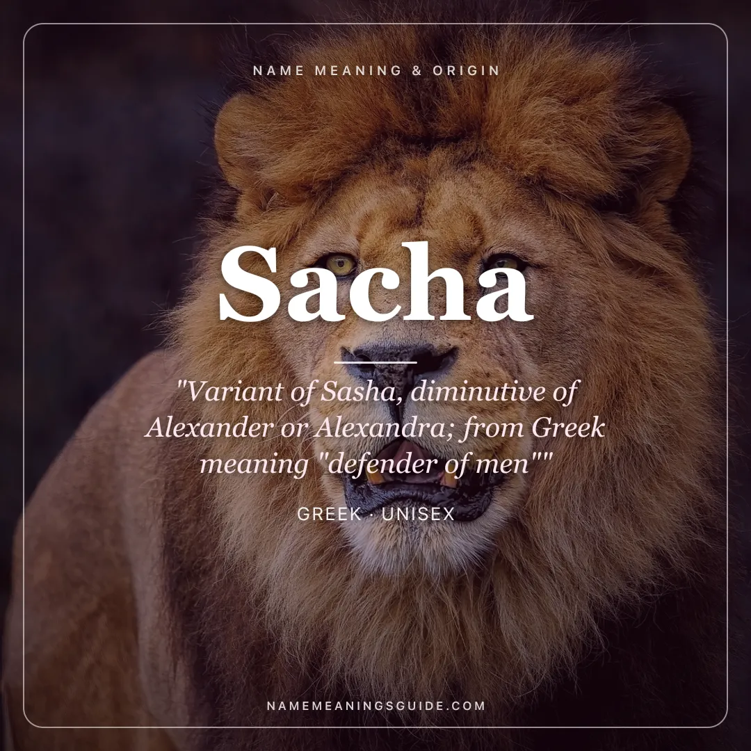 Sacha name meaning "Variant of Sasha, diminutive of Alexander or Alexandra; from Greek meaning "defender of men"" - Greek unisex name share card | NameMeanings