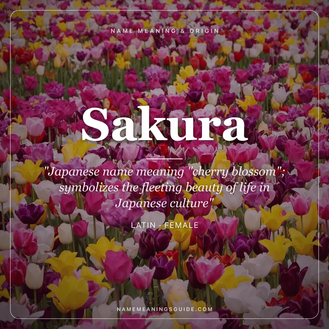 Sakura name meaning "Japanese name meaning "cherry blossom"; symbolizes the fleeting beauty of life in Japanese culture" - Latin female name share card | NameMeanings