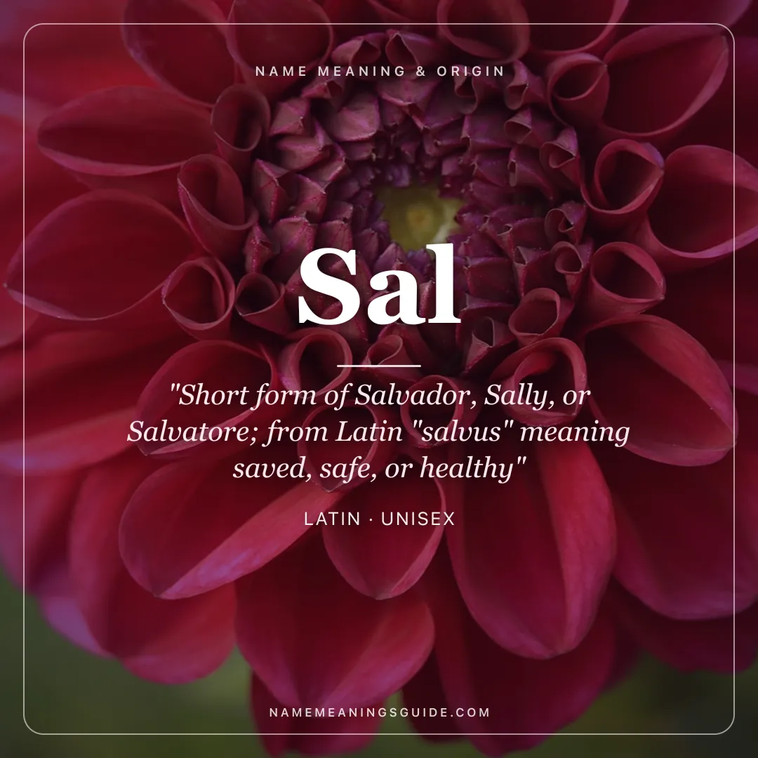 Sal name meaning "Short form of Salvador, Sally, or Salvatore; from Latin "salvus" meaning saved, safe, or healthy" - Latin unisex name share card | NameMeanings