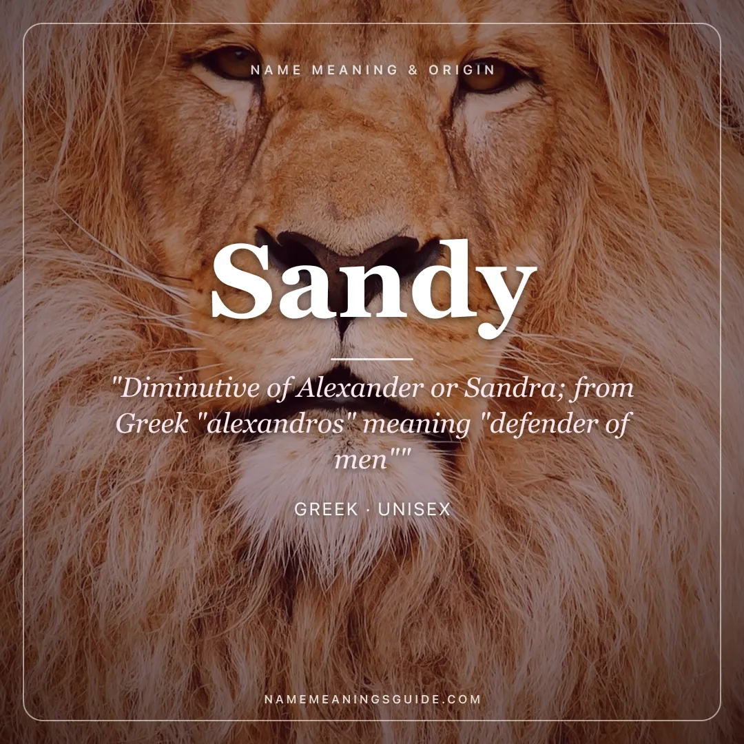 Sandy name meaning "Diminutive of Alexander or Sandra; from Greek "alexandros" meaning "defender of men"" - Greek unisex name share card | NameMeanings