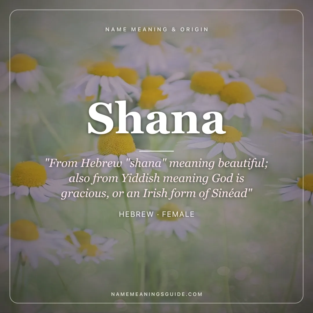 Shana name meaning "From Hebrew "shana" meaning beautiful; also from Yiddish meaning God is gracious, or an Irish form of Sinéad" - Hebrew female name share card | NameMeanings