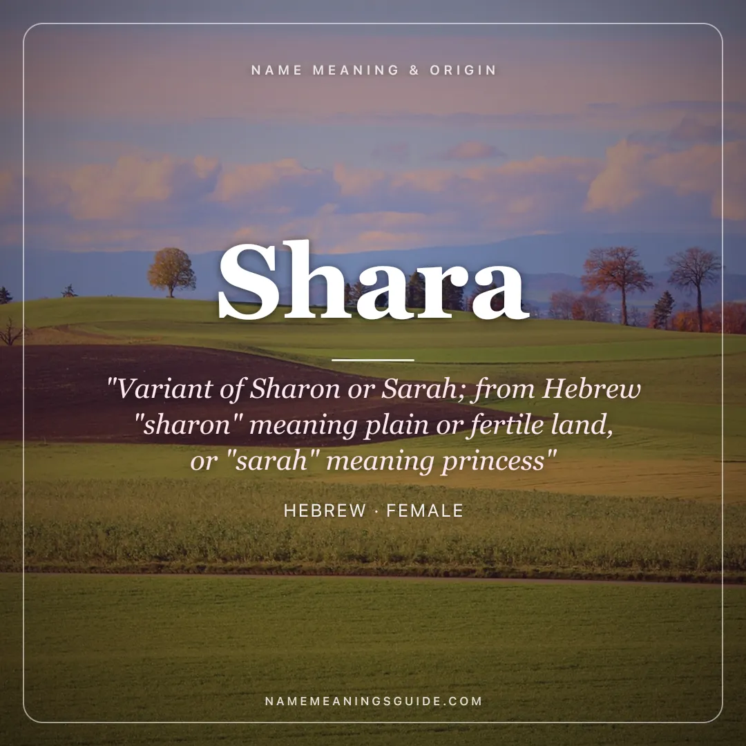 Shara name meaning "Variant of Sharon or Sarah; from Hebrew "sharon" meaning plain or fertile land, or "sarah" meaning princess" - Hebrew female name share card | NameMeanings