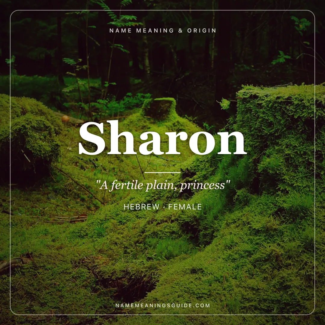 Sharon name meaning "A fertile plain, princess" - Hebrew female name share card | NameMeanings