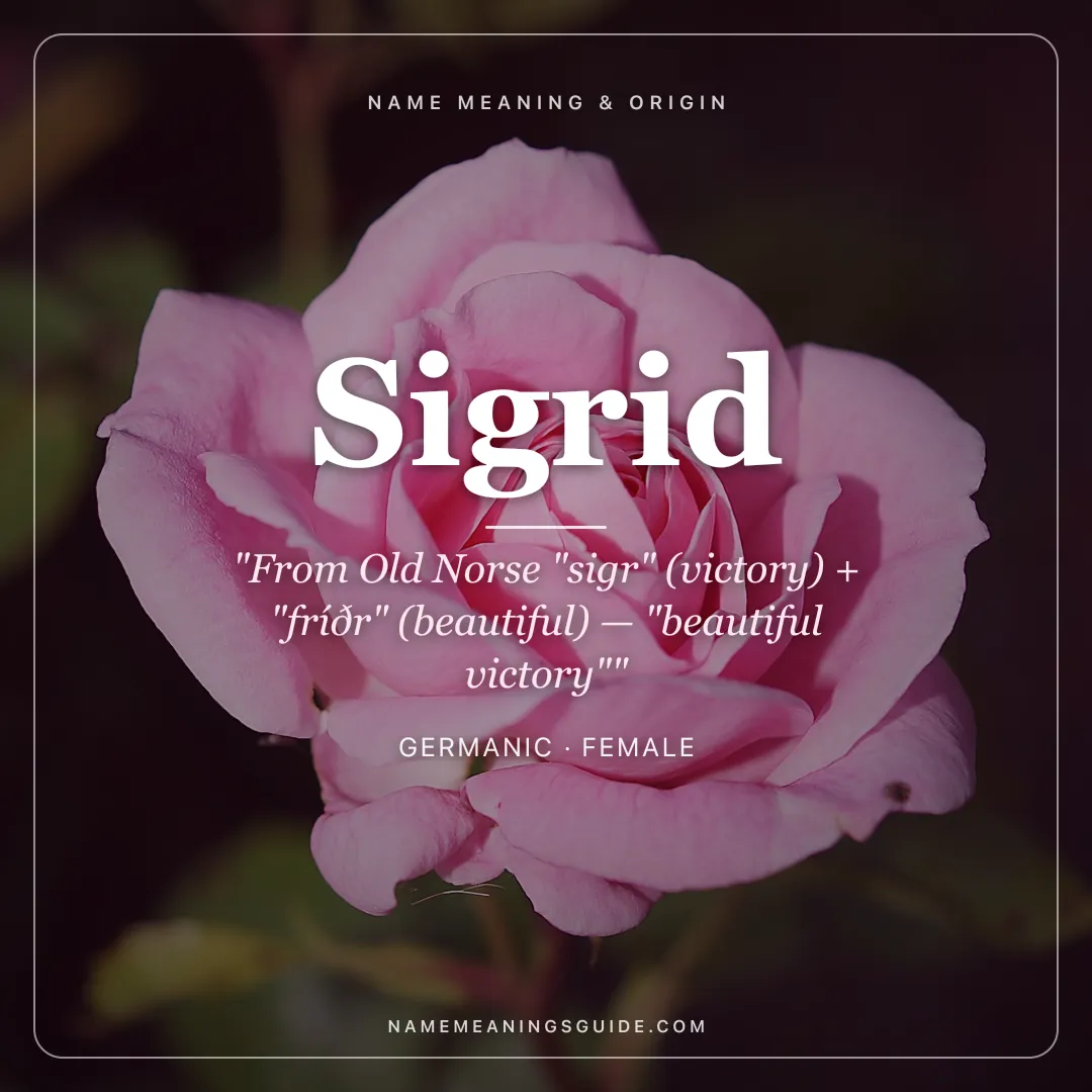 Sigrid name meaning "From Old Norse "sigr" (victory) + "fríðr" (beautiful) — "beautiful victory"" - Germanic female name share card | NameMeanings
