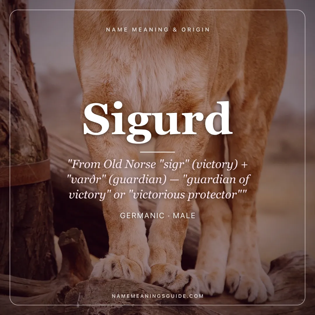 Sigurd name meaning "From Old Norse "sigr" (victory) + "varðr" (guardian) — "guardian of victory" or "victorious protector"" - Germanic male name share card | NameMeanings