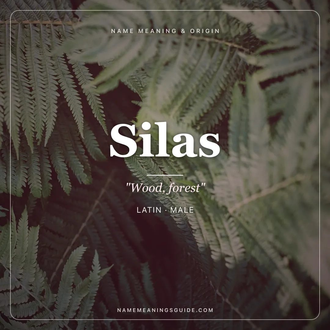 Silas name meaning "Wood, forest" - Latin, Greek male name share card | NameMeanings