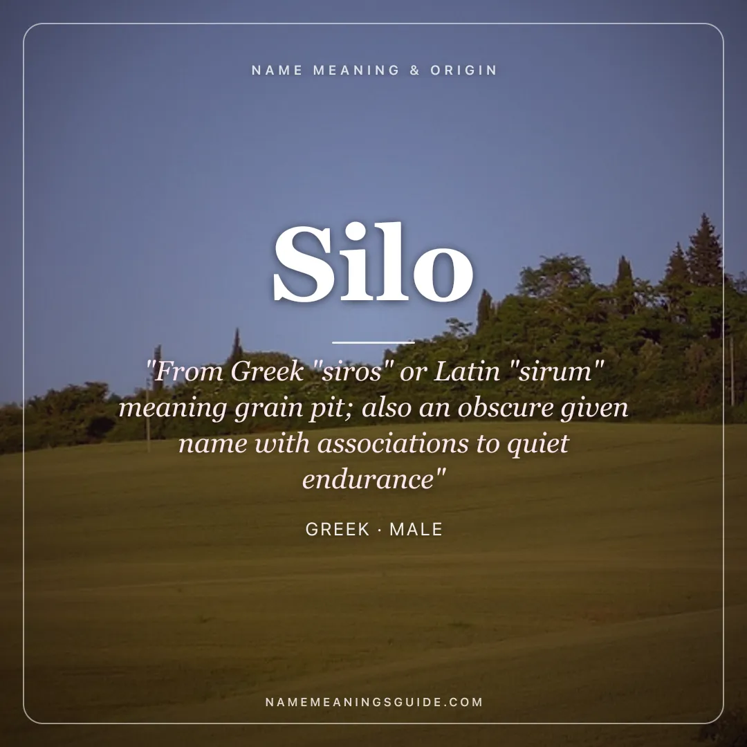 Silo name meaning "From Greek "siros" or Latin "sirum" meaning grain pit; also an obscure given name with associations to quiet endurance" - Greek male name share card | NameMeanings