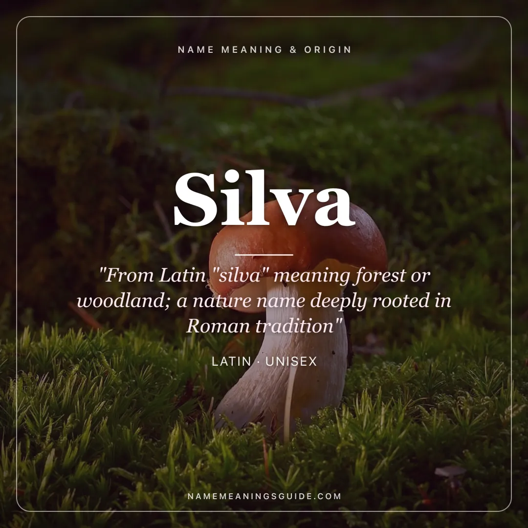 Silva name meaning "From Latin "silva" meaning forest or woodland; a nature name deeply rooted in Roman tradition" - Latin unisex name share card | NameMeanings