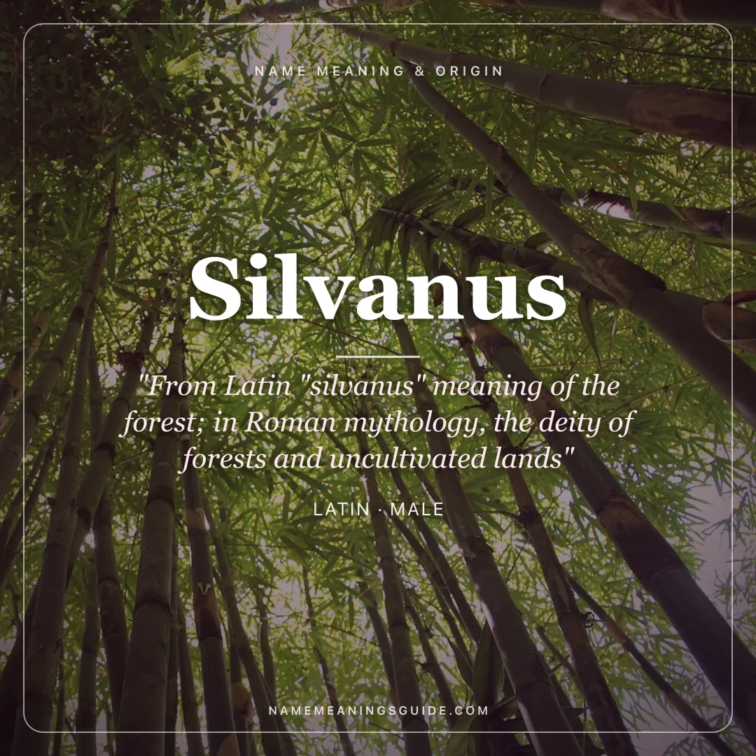 Silvanus name meaning "From Latin "silvanus" meaning of the forest; in Roman mythology, the deity of forests and uncultivated lands" - Latin male name share card | NameMeanings