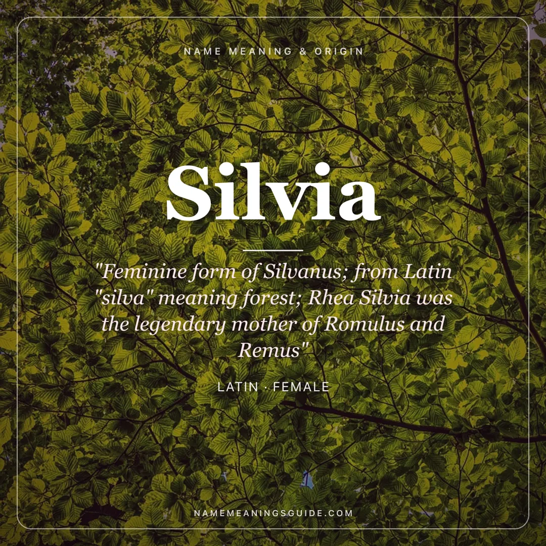 Silvia name meaning "Feminine form of Silvanus; from Latin "silva" meaning forest; Rhea Silvia was the legendary mother of Romulus and Remus" - Latin female name share card | NameMeanings