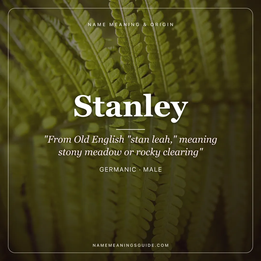 Stanley name meaning "From Old English "stan leah," meaning stony meadow or rocky clearing" - Germanic male name share card | NameMeanings