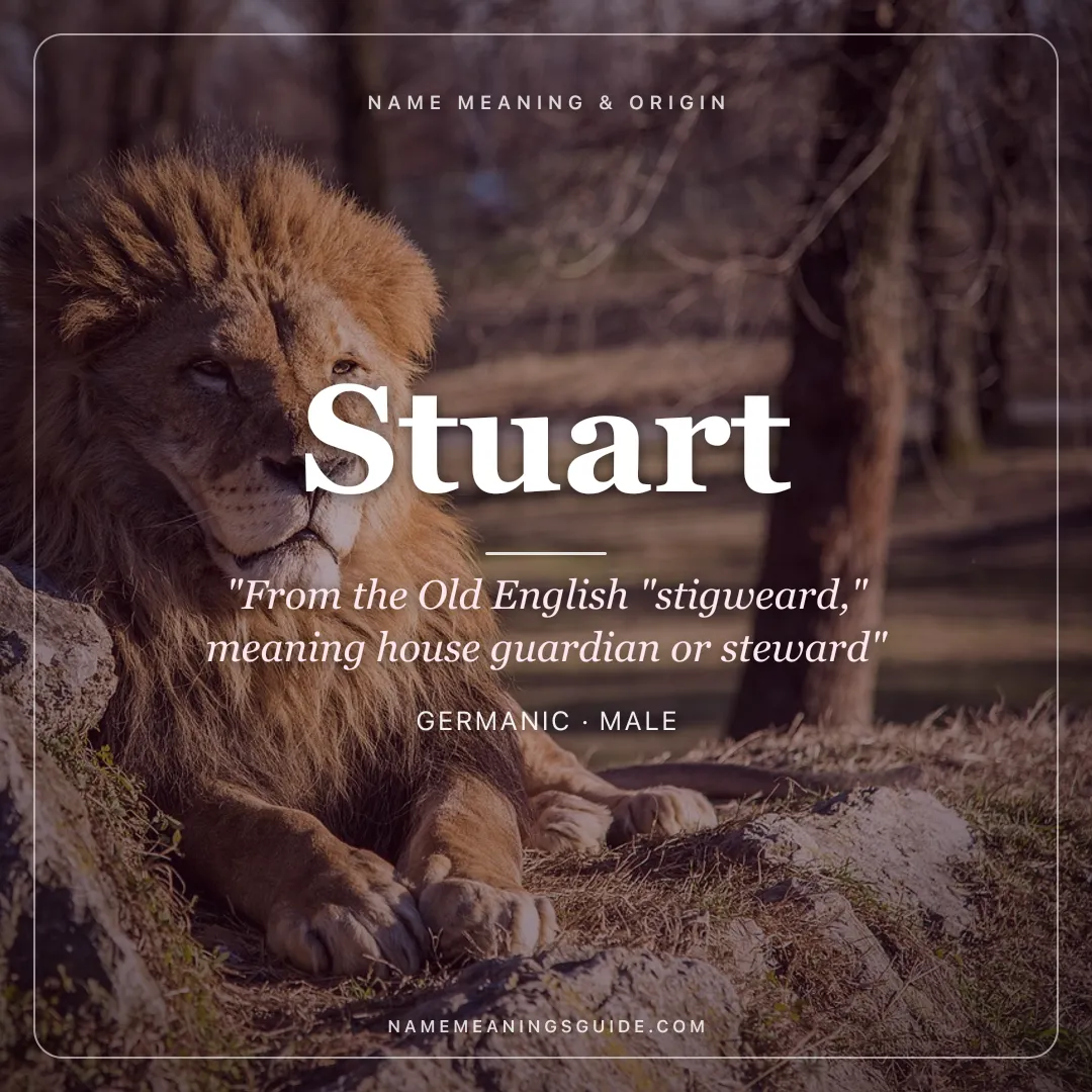 Stuart name meaning "From the Old English "stigweard," meaning house guardian or steward" - Germanic male name share card | NameMeanings