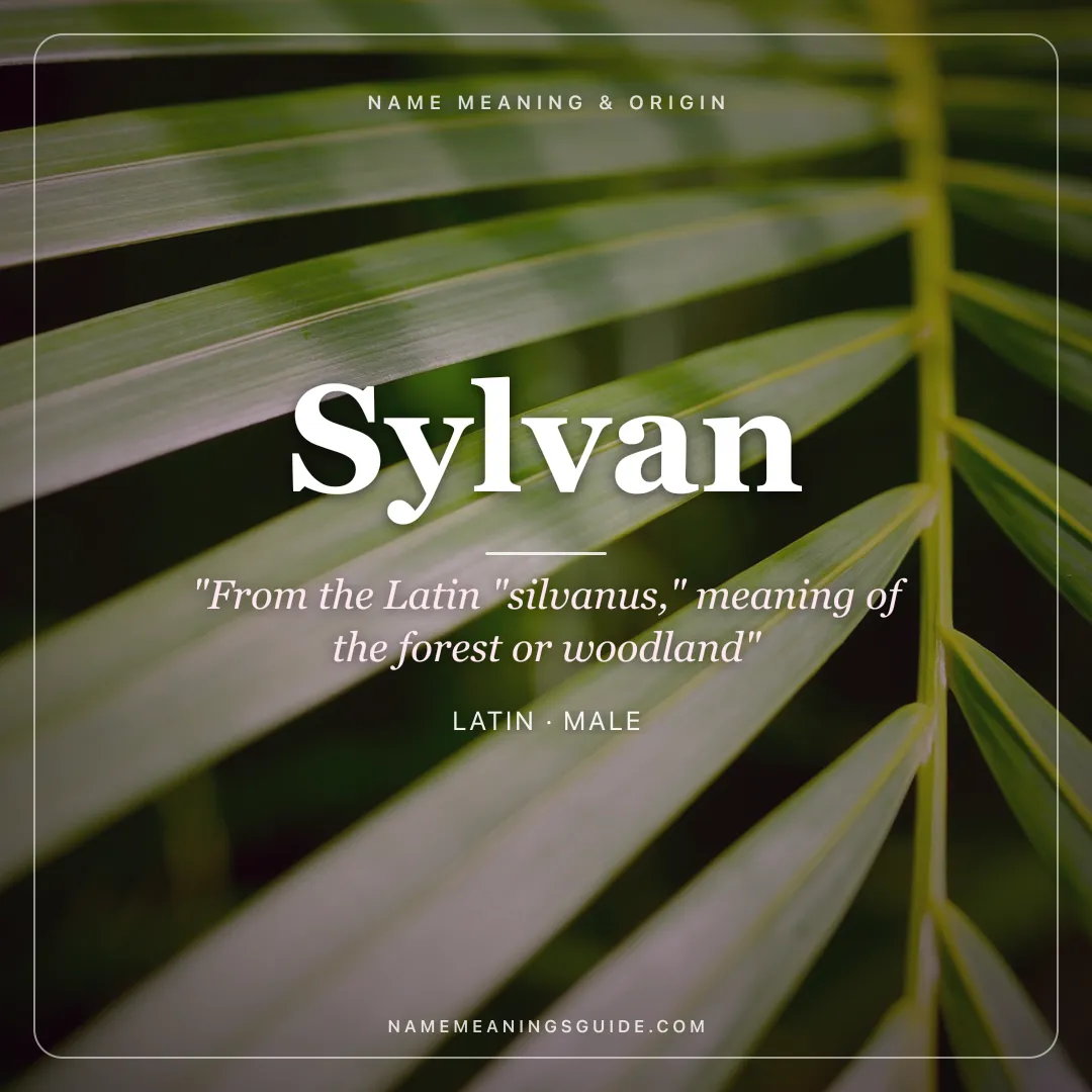 Sylvan name meaning "From the Latin "silvanus," meaning of the forest or woodland" - Latin male name share card | NameMeanings