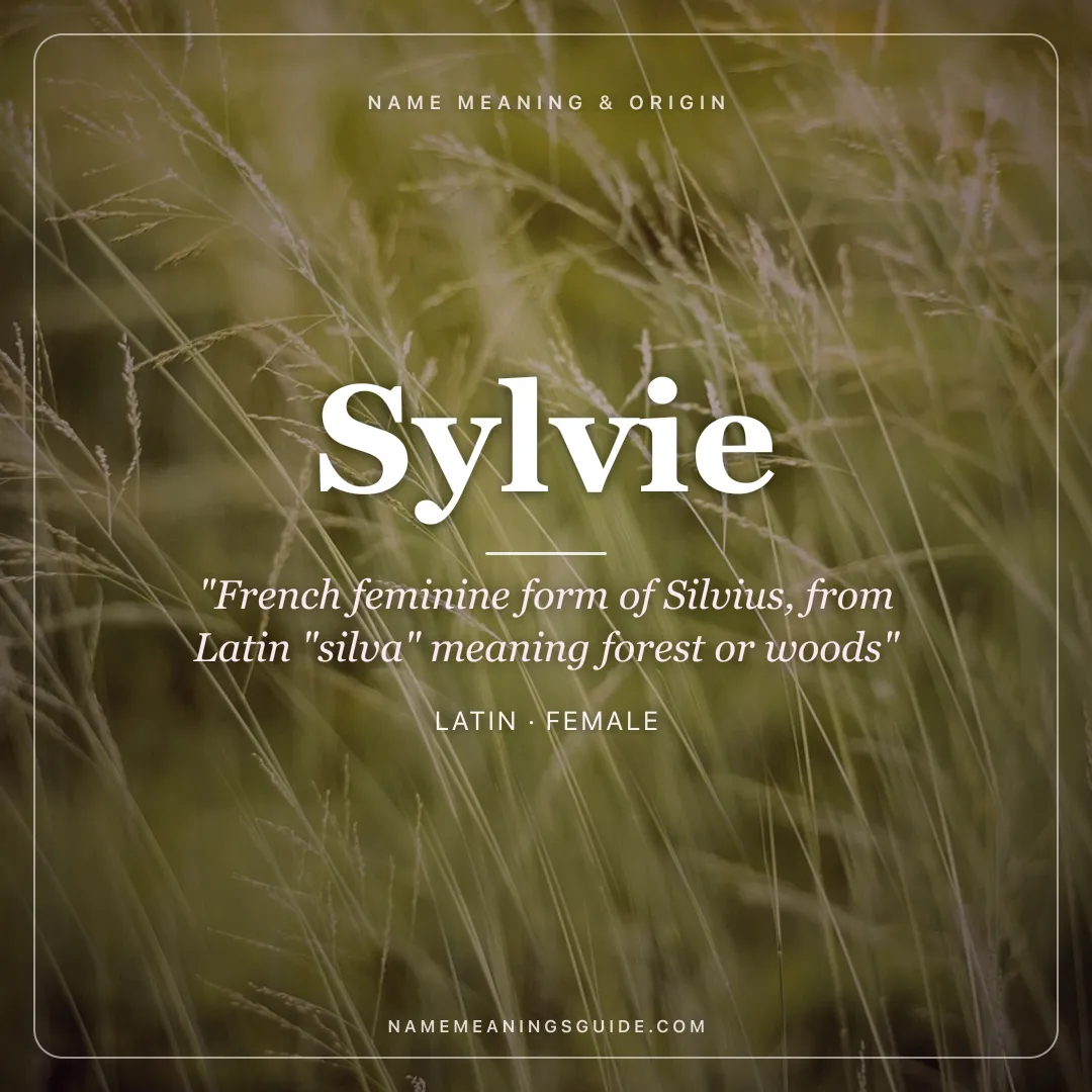 Sylvie name meaning "French feminine form of Silvius, from Latin "silva" meaning forest or woods" - Latin female name share card | NameMeanings
