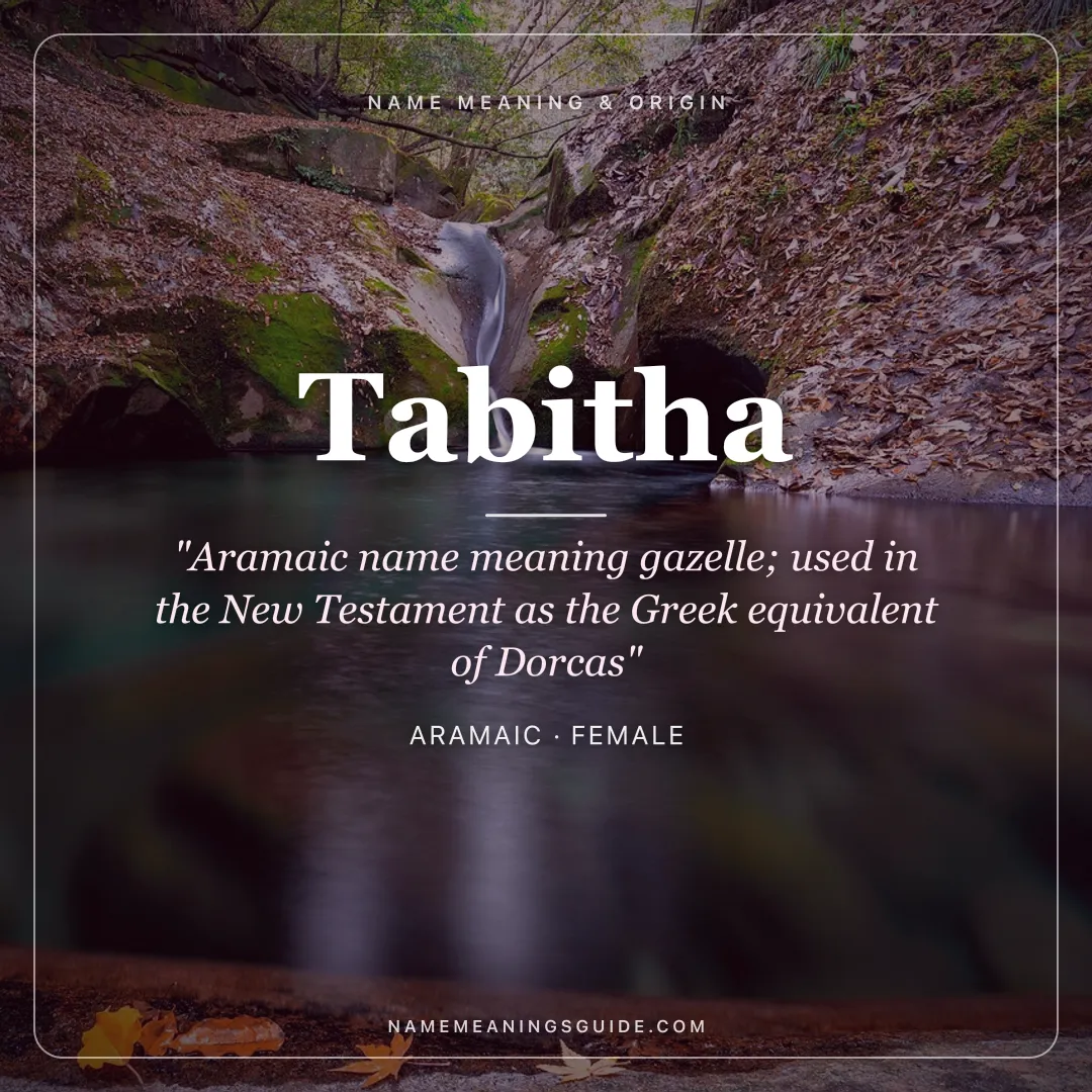 Tabitha name meaning "Aramaic name meaning gazelle; used in the New Testament as the Greek equivalent of Dorcas" - Aramaic female name share card | NameMeanings