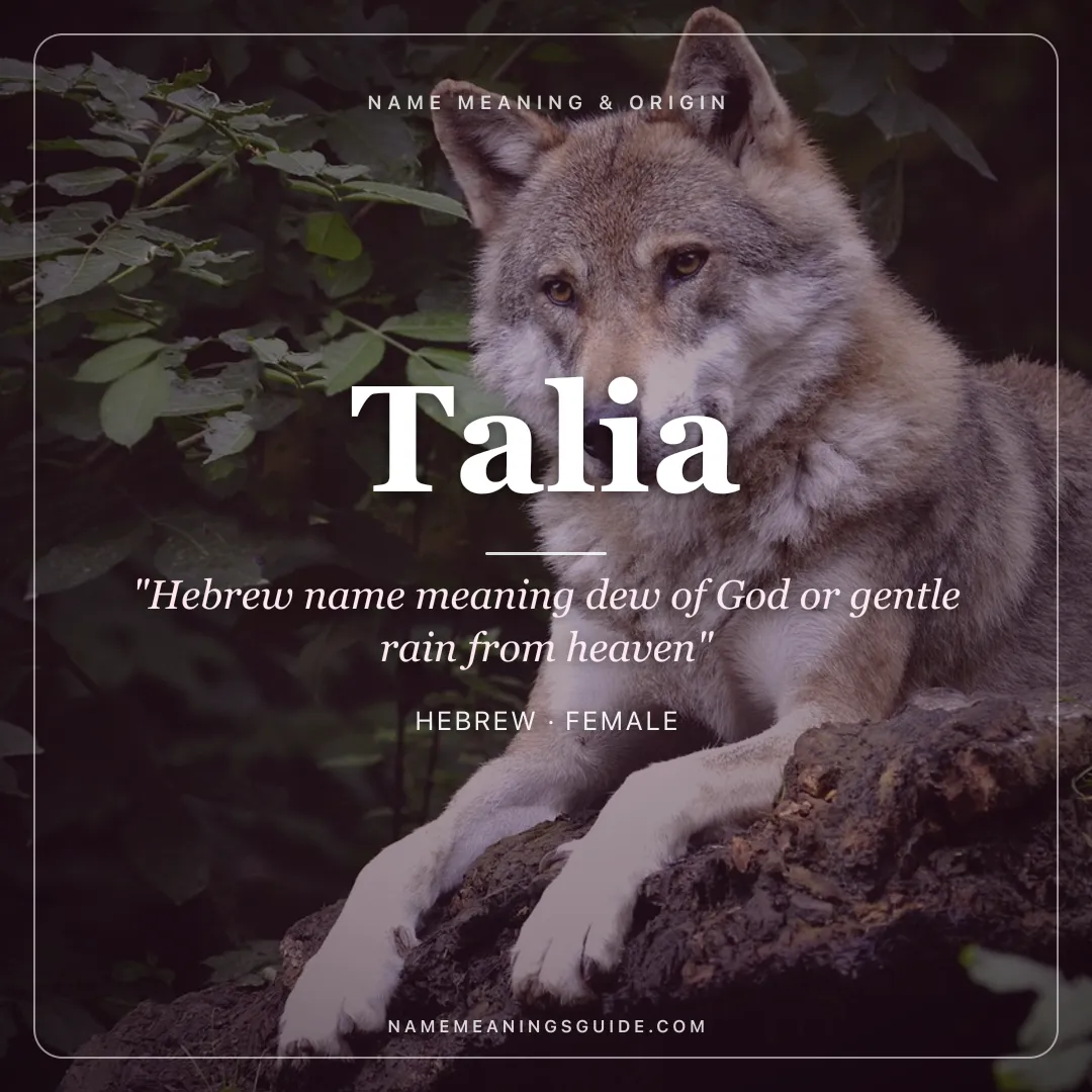 Talia name meaning "Hebrew name meaning dew of God or gentle rain from heaven" - Hebrew female name share card | NameMeanings