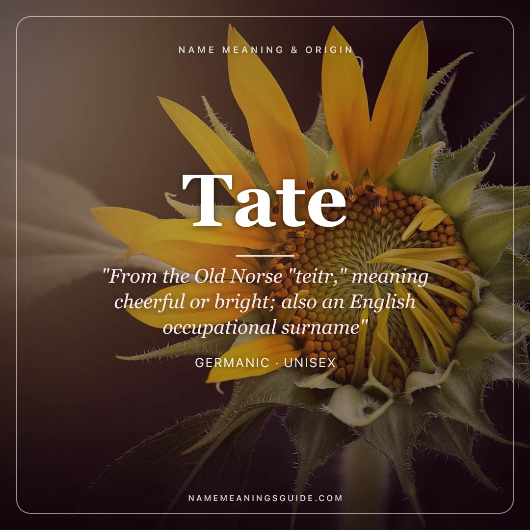 Tate name meaning "From the Old Norse "teitr," meaning cheerful or bright; also an English occupational surname" - Germanic unisex name share card | NameMeanings