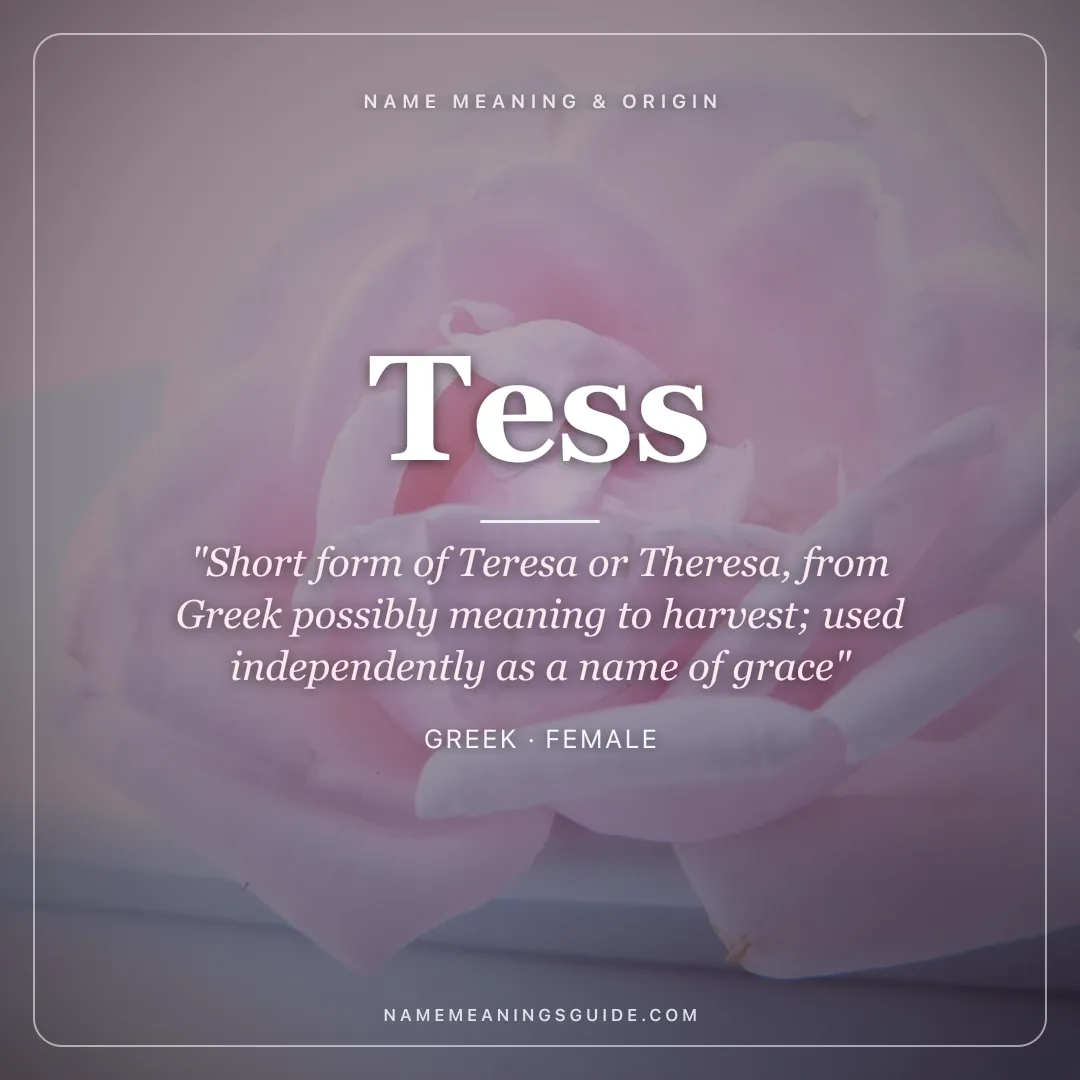 Tess name meaning "Short form of Teresa or Theresa, from Greek possibly meaning to harvest; used independently as a name of grace" - Greek female name share card | NameMeanings
