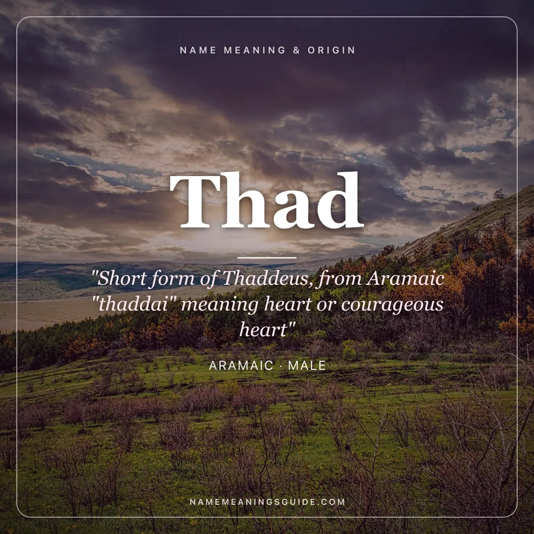 Thad name meaning "Short form of Thaddeus, from Aramaic "thaddai" meaning heart or courageous heart" - Aramaic male name share card | NameMeanings