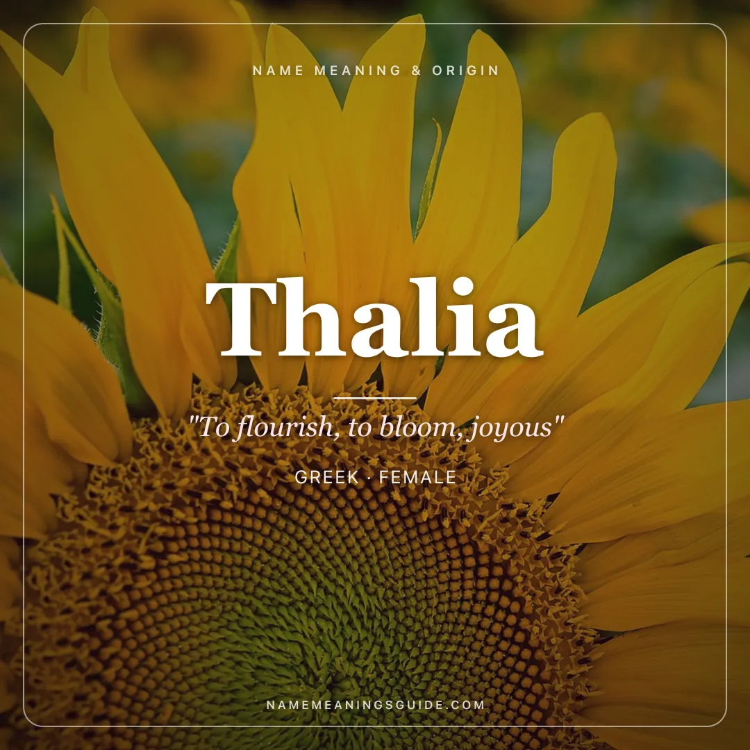 Thalia name meaning "To flourish, to bloom, joyous" - Greek female name share card | NameMeanings