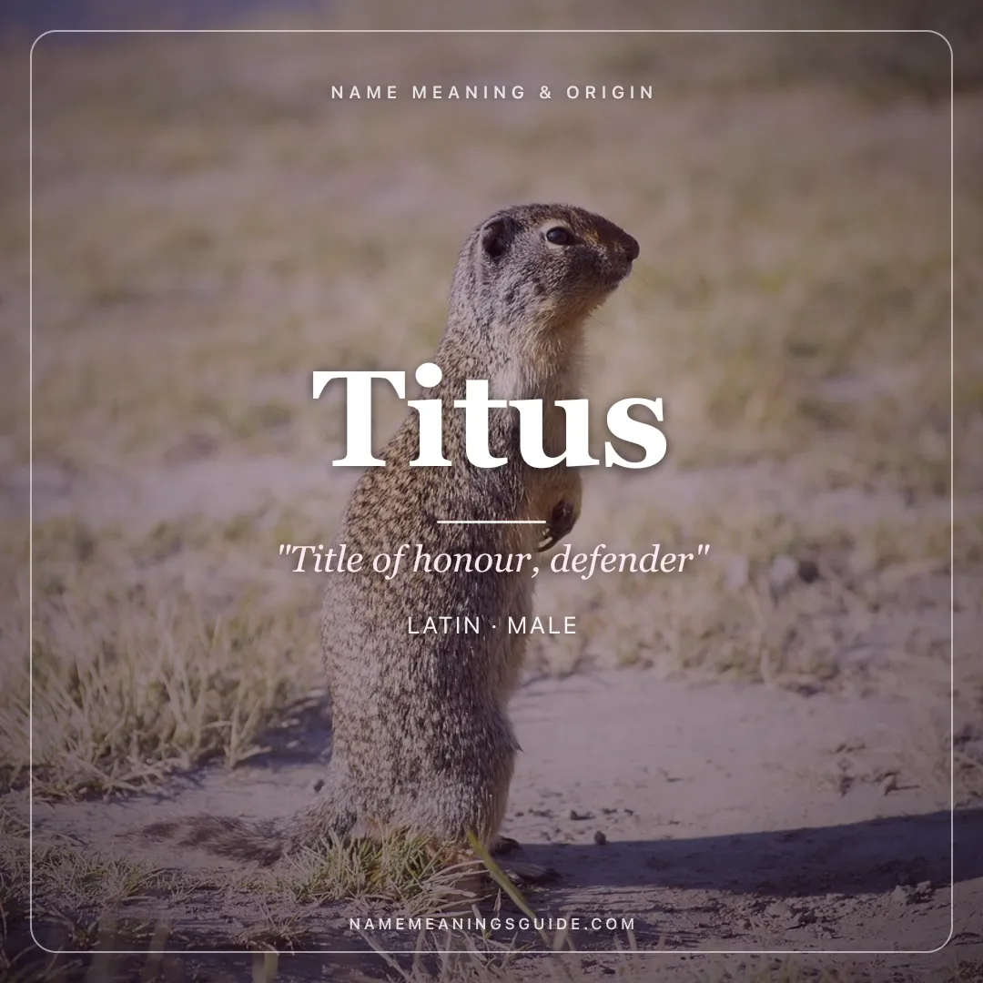 Titus name meaning "Title of honour, defender" - Latin male name share card | NameMeanings