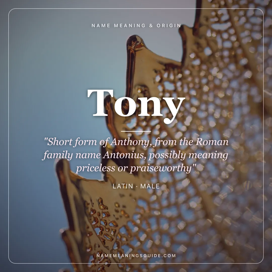 Tony name meaning "Short form of Anthony, from the Roman family name Antonius, possibly meaning priceless or praiseworthy" - Latin male name share card | NameMeanings